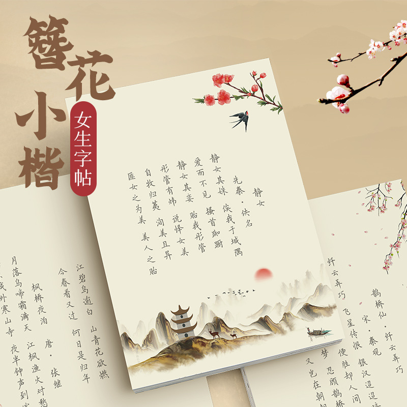 Haarspeldbloem Kleine Kai-kall - Chinese Calligraphy Practice Book recensie en prijs