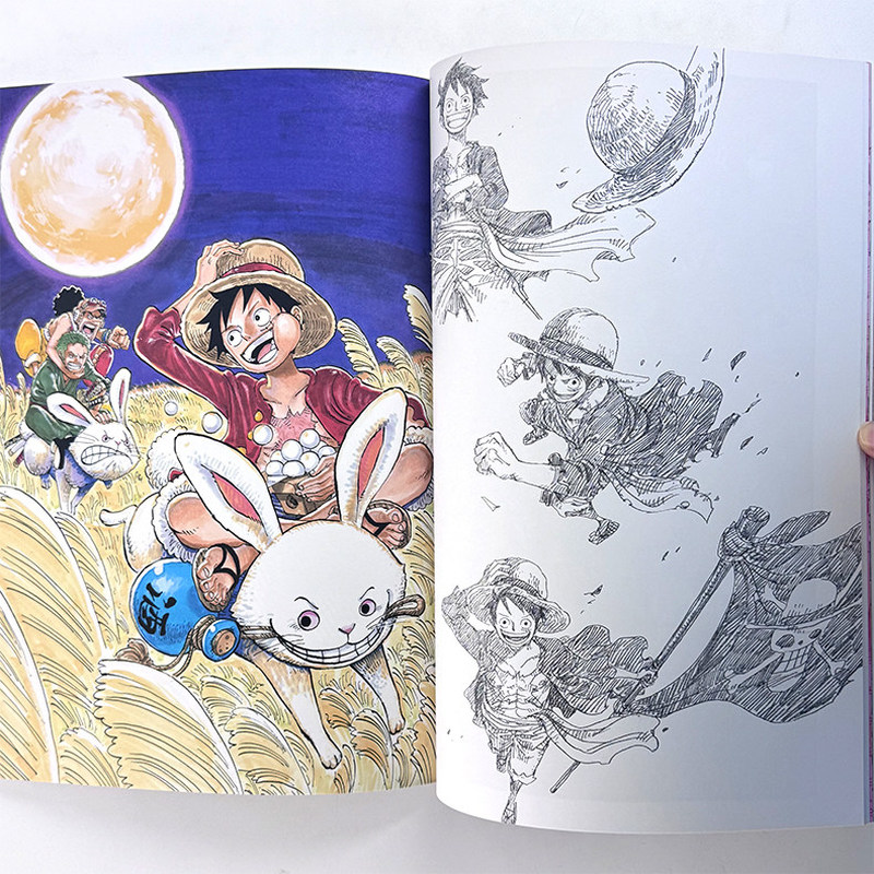 One Piece Illustratieboek Colo - Stationery Books recensie en prijs